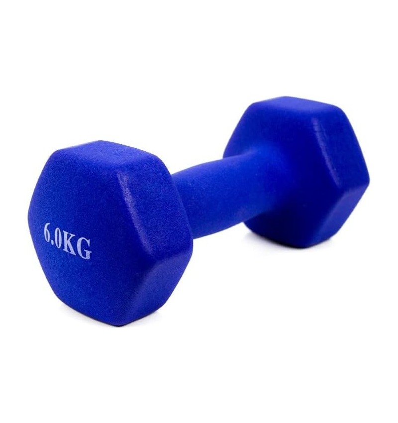  6 kg Stahlhantel mit Vinylbeschichtung