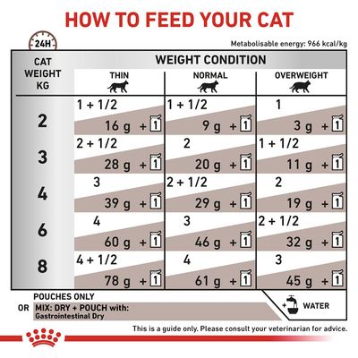 Royal Canin Veterinary Cat - Gastrointestinal in Gravy