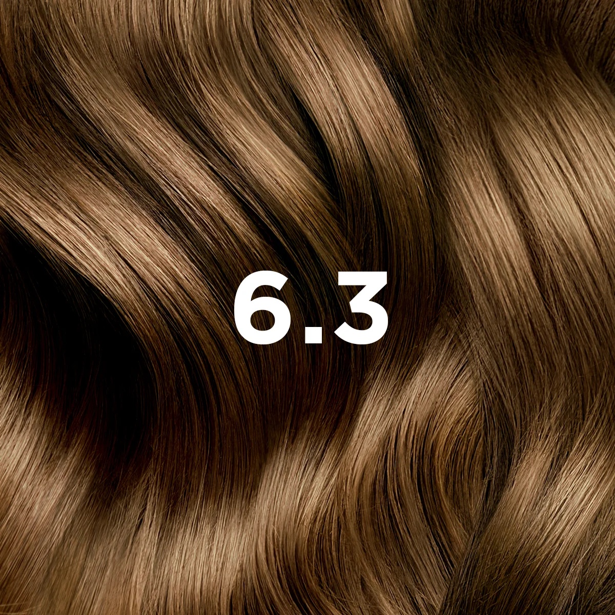 PHYTO Phytocolor 6.3 Blond doré foncé, coloration permanente sans ammoniaque, couverture à 100 % des cheveux blancs