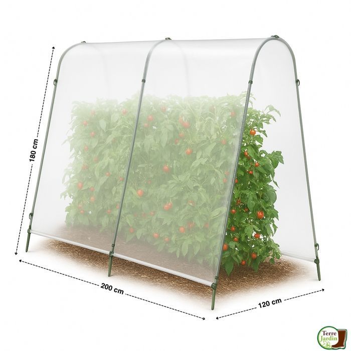 Estufa de tomates com lona