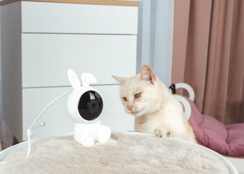 innoGIO GIO Safety Rabbit Smart Wi-Fi Heimkamera