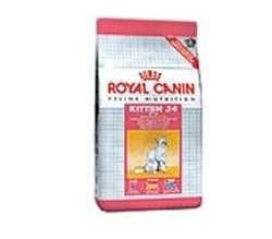 Chaton Fhn de deuxième âge 2 kg