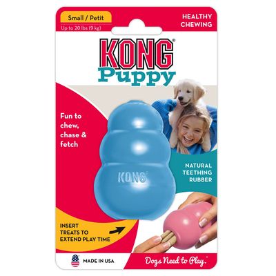 Welpe KONG