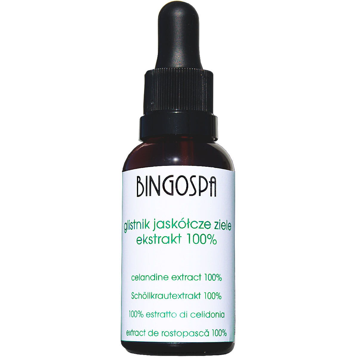 Bingospa