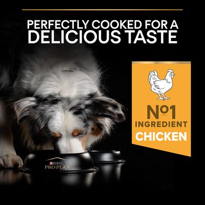 PURINA PRO PLAN Όλα τα μεγέθη Ενηλίκων Light/Steined