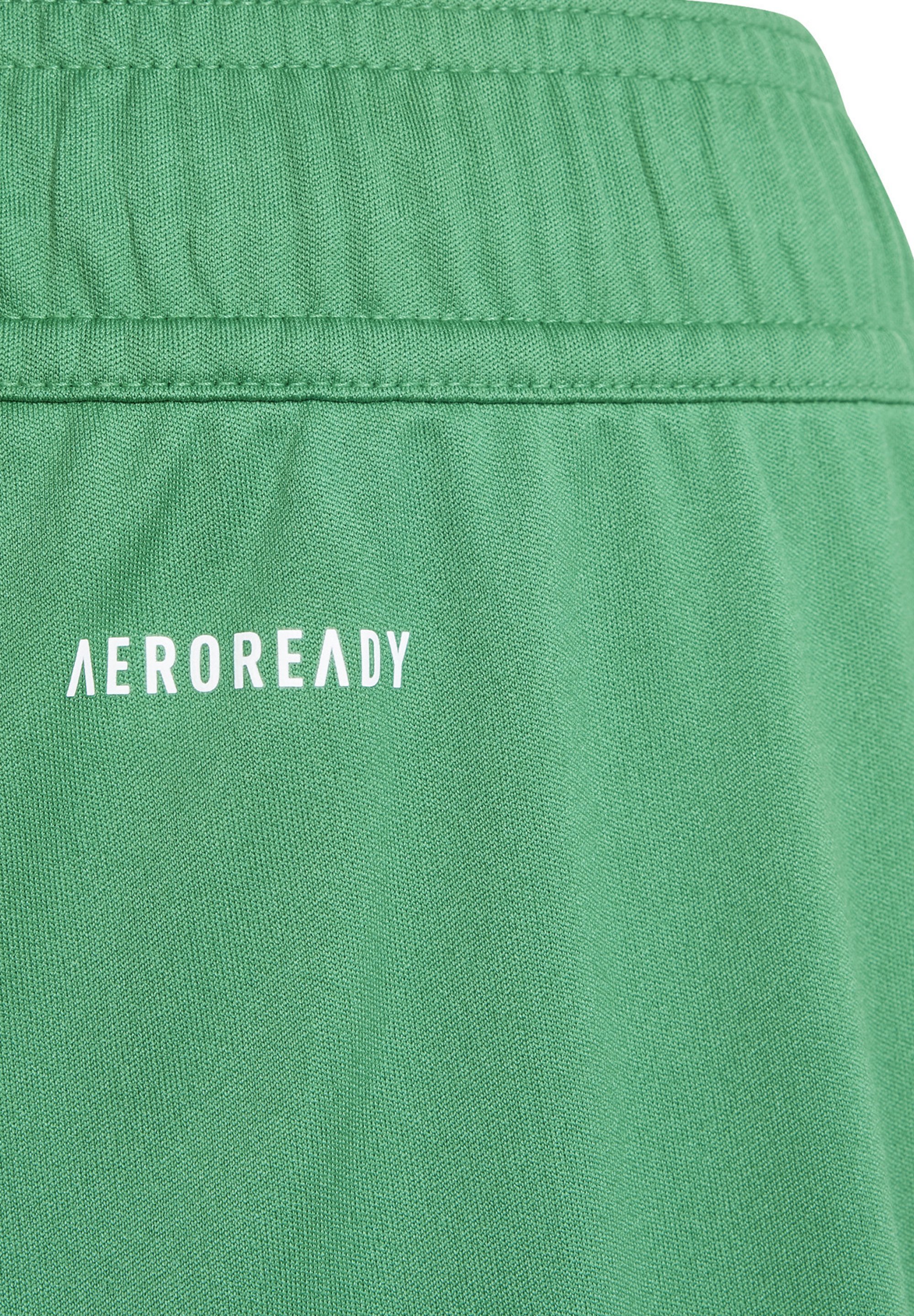 adidas Performance FORTORE - Sportshorts - grijsweiss