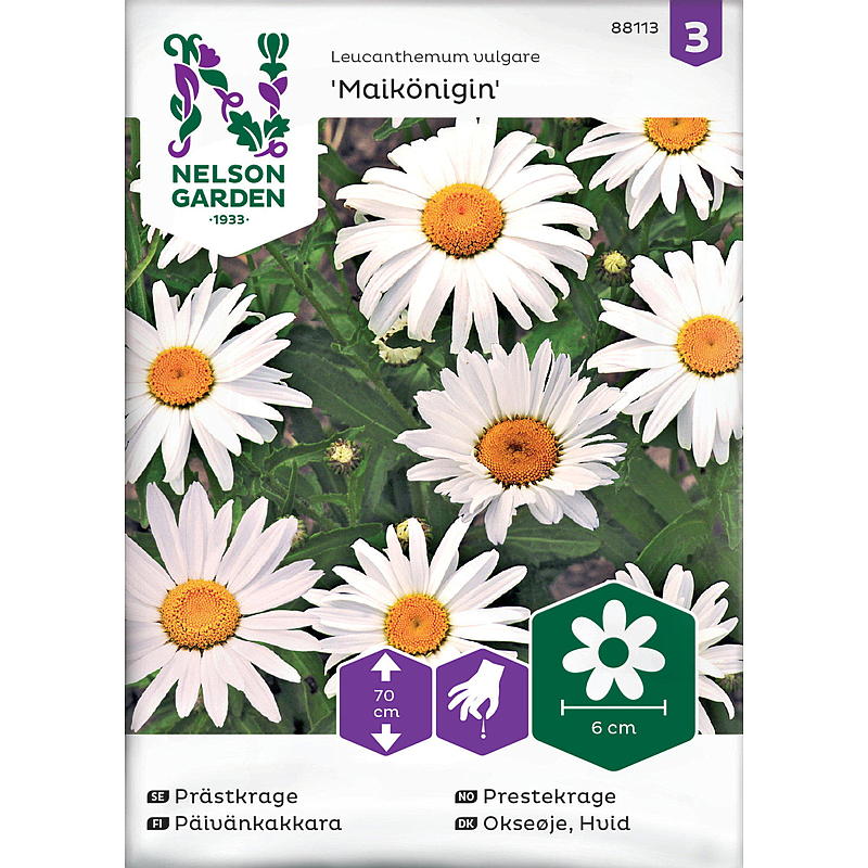 Nelson garden Seeds Præstens Krave Majdronning, hvid