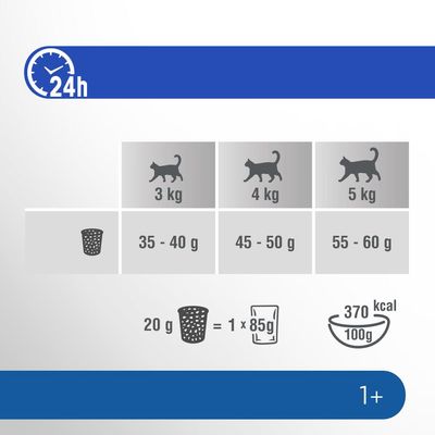 Perfect Fit Indoor 1+ Reich an Hühnchen