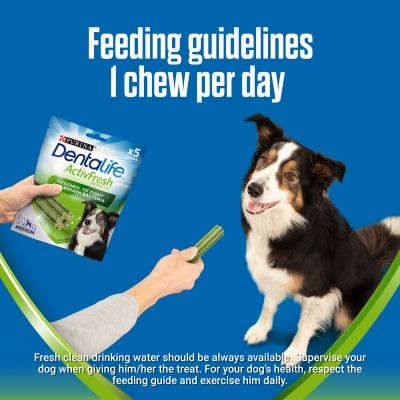 Purina Dentalife ActivFresh Tägliche Zahnpflege-Snacks für mittelgroße Hunderassen