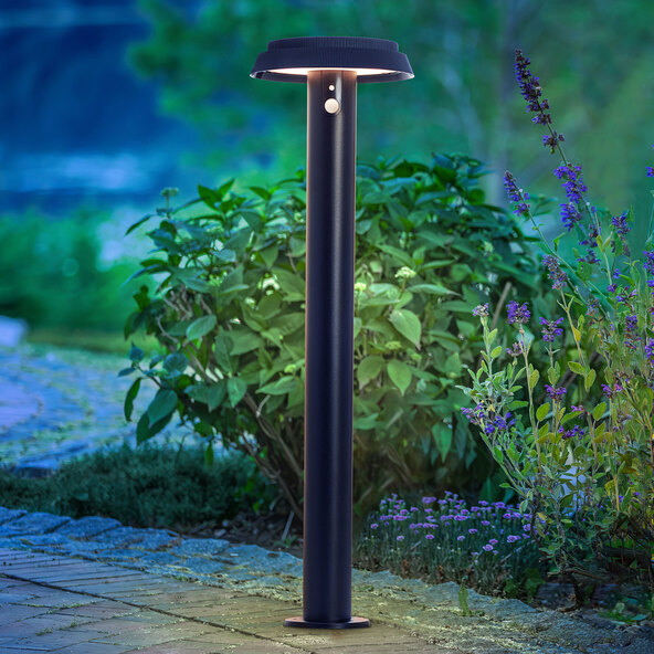Ηλιακό φως πορείας LED Alvero με ανιχνευτή κίνησης, 70 cm