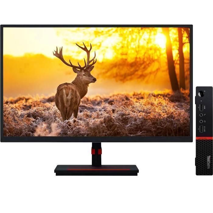 Lenovo ThinkCentre M715q Mini, 24