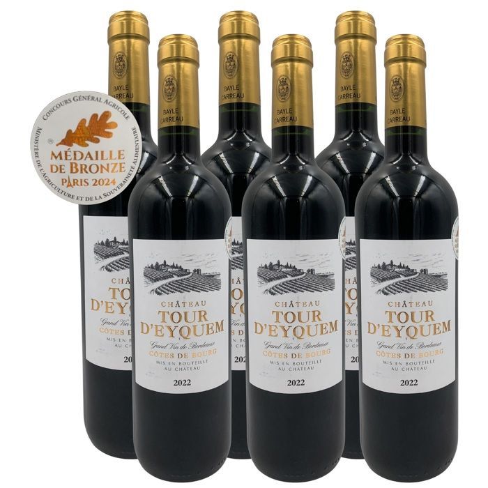 CHÂTEAU TOUR D'EYQUEM 2022 - CÔTES DE BOURG - VINO TINTO - LOTE DE 6 X 75CL