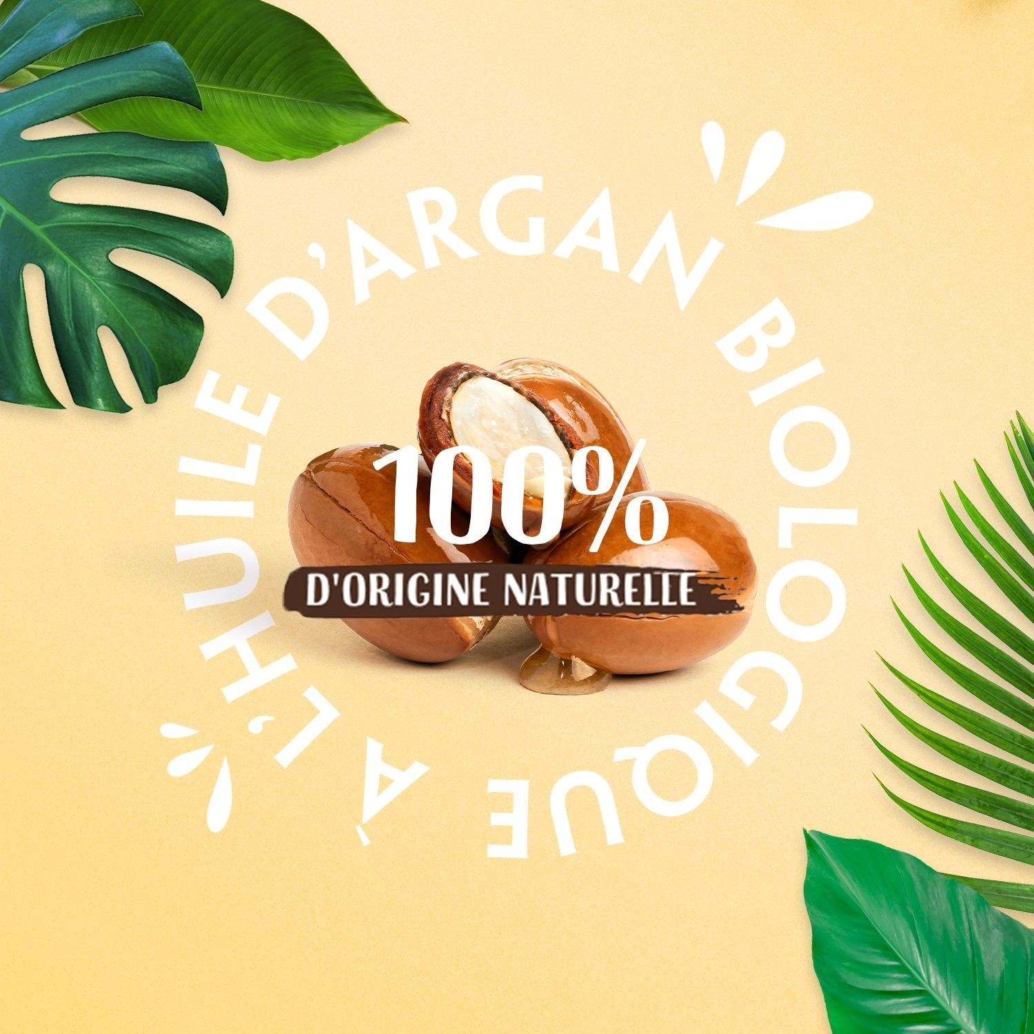 Lovea Huile d'Argan Bio Régénère Certifiée BIO