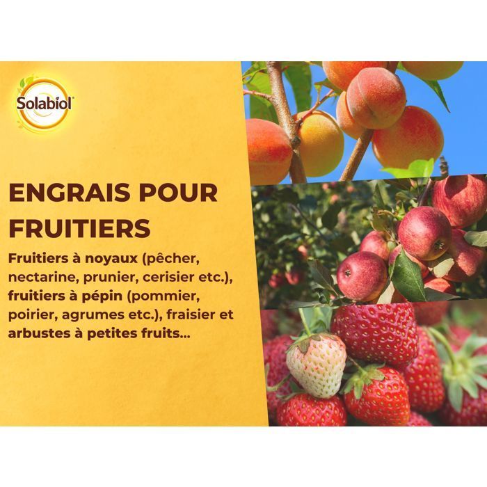 SOLABIOL Engrais fruitiers - 1,5kg - Jusqu'à 180 plants - Stimulateur de croissance - Nutrition longue durée - UAB SOFRUY15