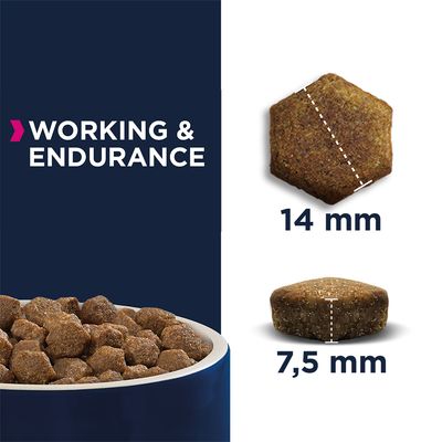 Eukanuba Daily Care Voksen Arbejde & Udholdenhed