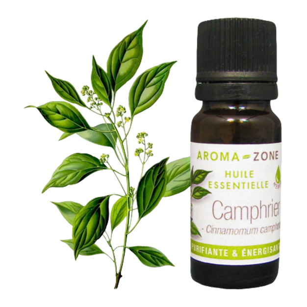 Huile essentielle Camphrier 10ml