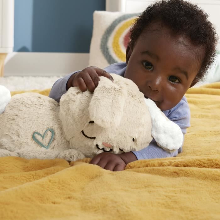 Fisher-Price Meu Coelhinho Fofinho - Pelúcia com Luz Noturna - Brinquedo Educativo Infantil - HXG97