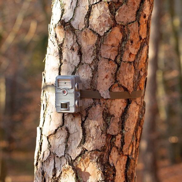 Wildlife monitoring camera WK-4HDW, grey