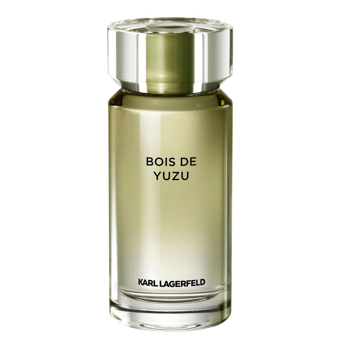 Karl Lagerfeld Eau de Toilette pour Homme 100ml Bois De Yuzu