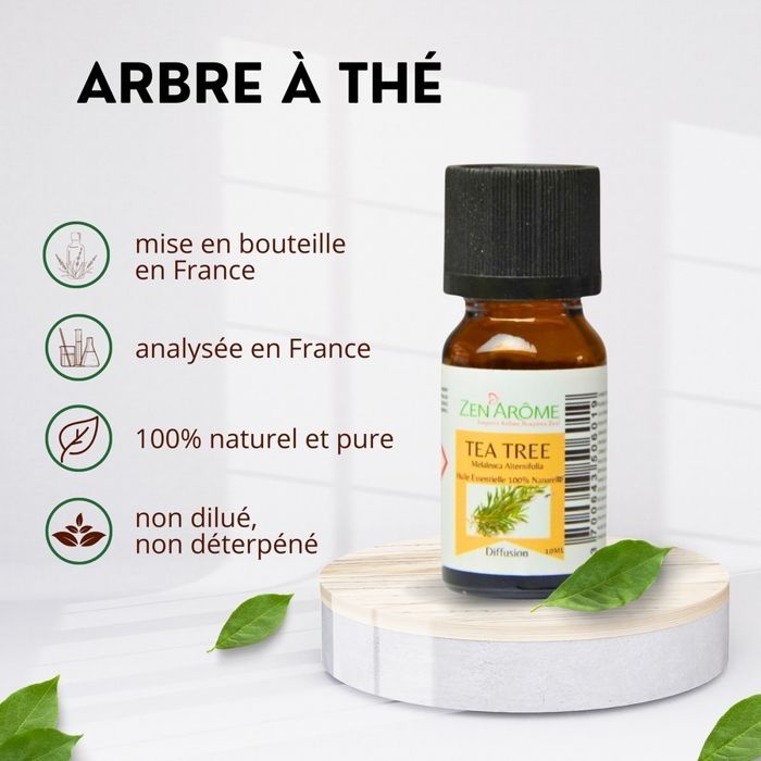 Olio essenziale di tea tree – 100% puro e naturale - Diffusione aromaterapica – 10 ml – Confezionato in Francia - Zen'Arôme