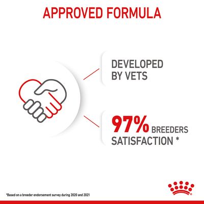 Royal Canin Mini Puppy in Soße