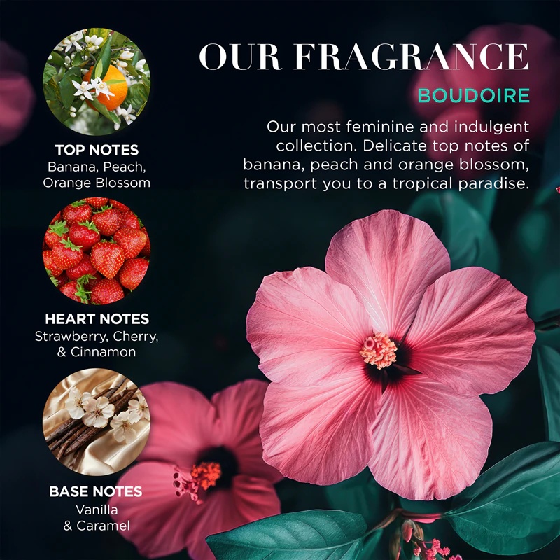 „Baylis & Harding Boudoire Tropical Paradise“ dovanų rinkinys