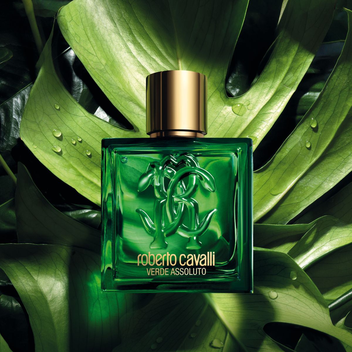 Roberto Cavalli UOMO VERDE ASSOLUTO