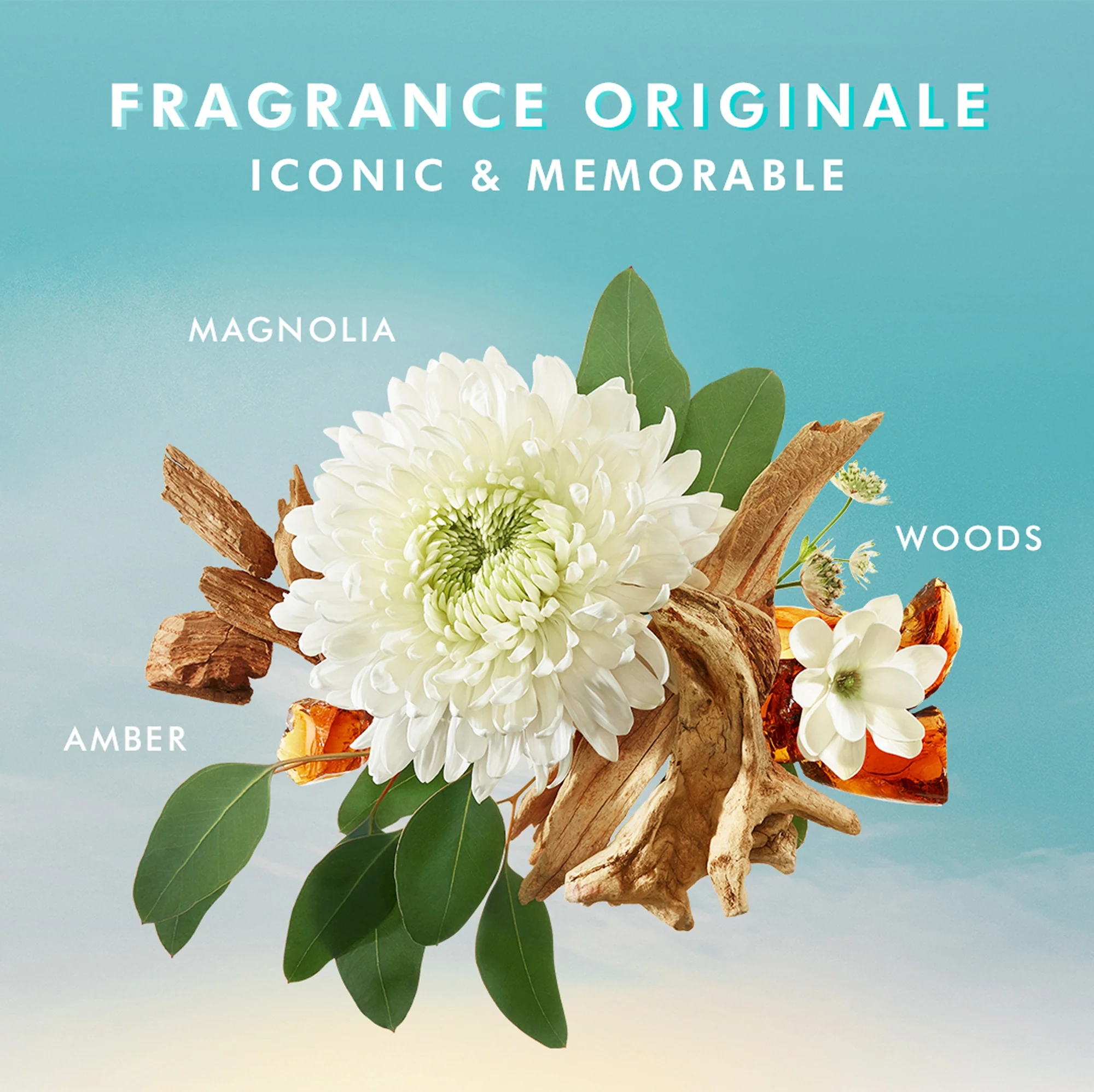 Body hand wash fragrance originale - Detergente Mani