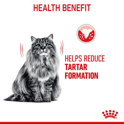 Soins dentaires Royal Canin