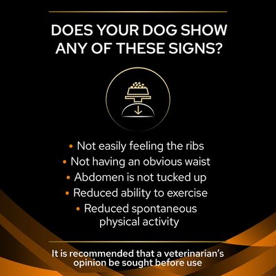 Purina Pro Plan Veterinary Diets Hunde-Mousse OM Übergewicht