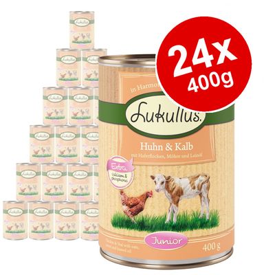 Pacote econômico Lukullus Junior com 24 unidades de 400g