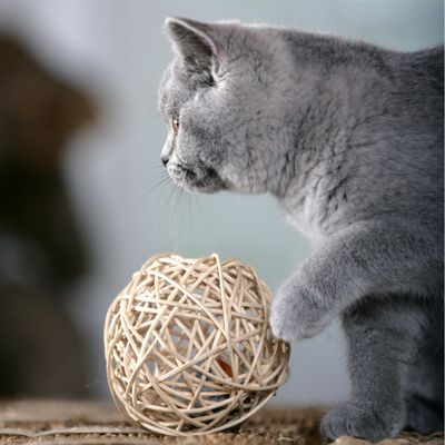 Karlie Willow Ball mit Soundchip-Maus