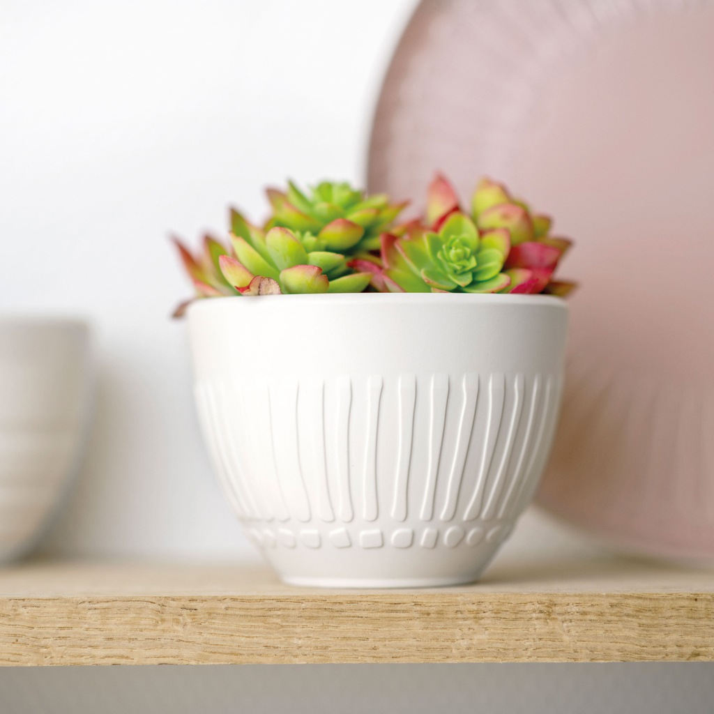 J'aime beaucoup. La tasse Villeroy & Boch Cup Cup Blossom est parfaite pour moi – à l'unité.