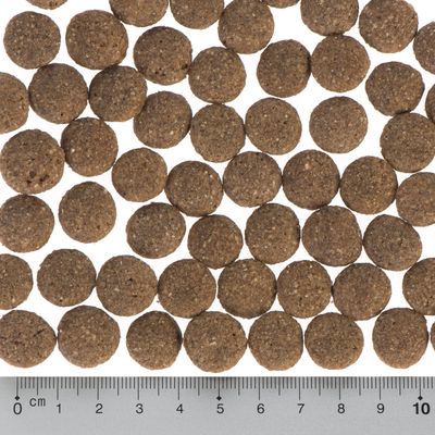 Purizon Single Meat Adult Economy Packs 2 x 12kg