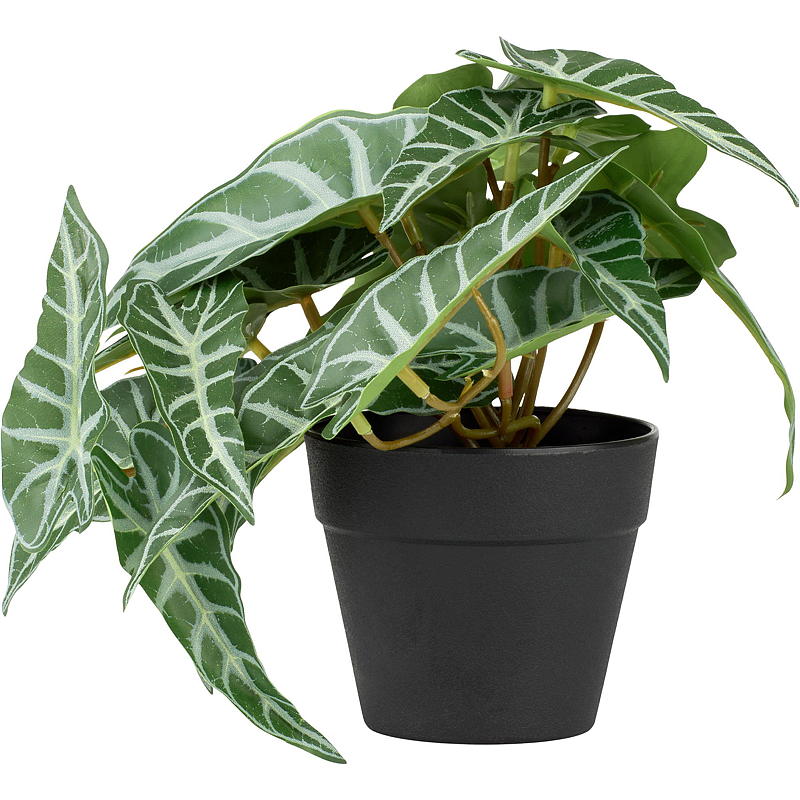 Hem Grön växt 17 cm konstgjord Taro/Alocasia