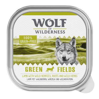 Pack de 24 sachets de 300 g pour adultes Wolf of Wilderness