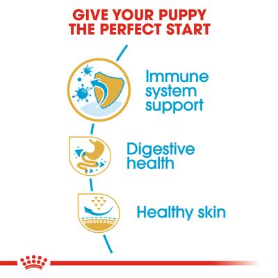 Royal Canin Fransk Bulldog Valp