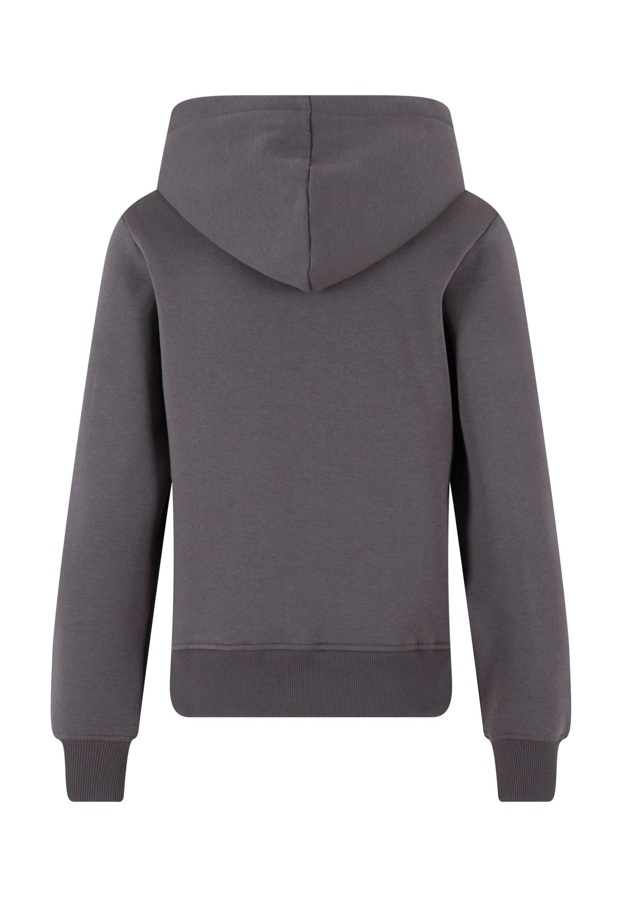 Urban Classics REGULAR - Moletom com capuz - cinza-nuvem