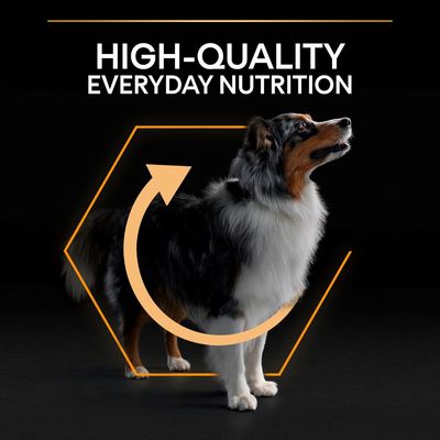 PURINA PRO PLAN Nutrizione quotidiana per adulti di taglia media