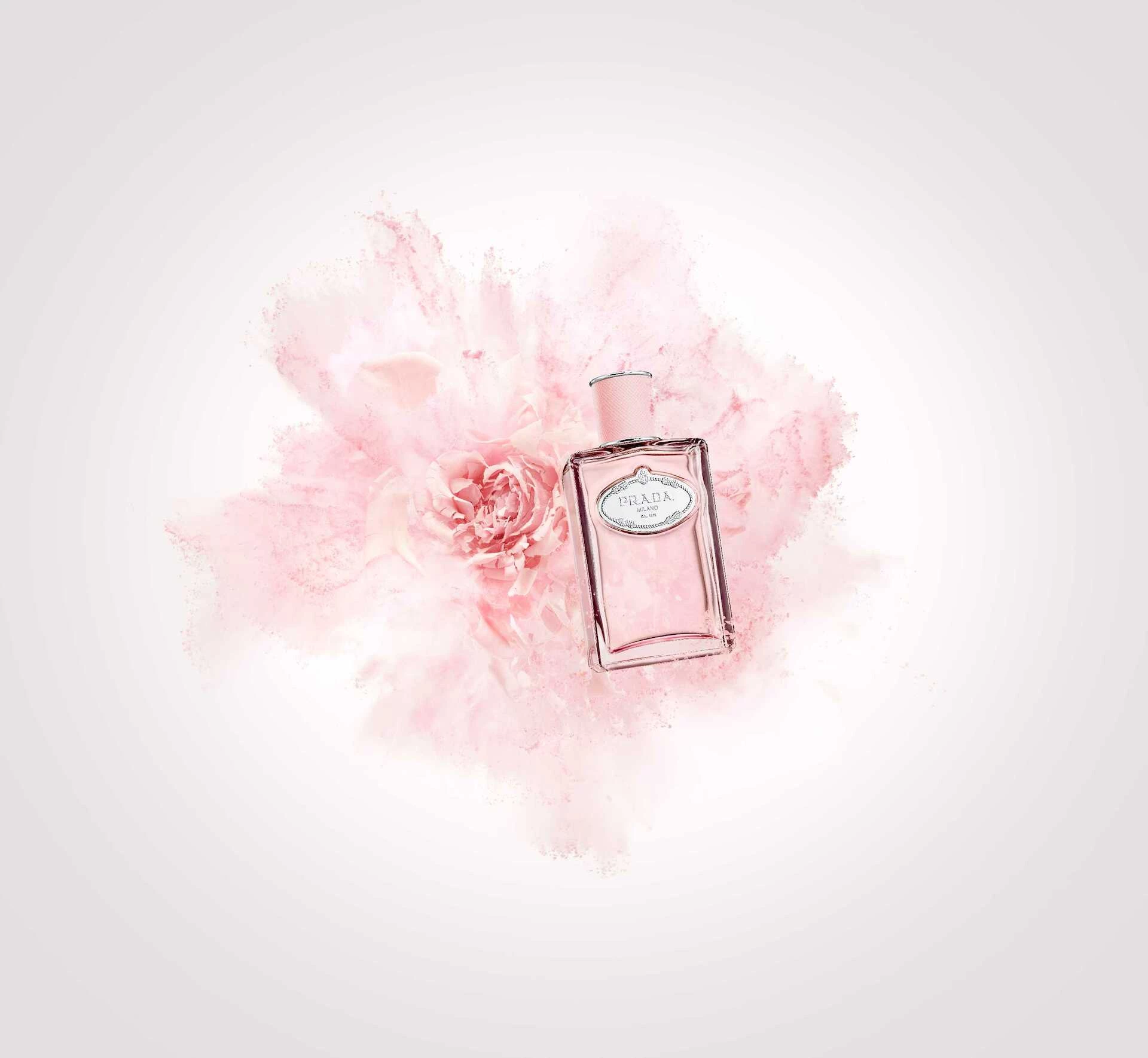 Prada Infusion De Rose EDT 100 ml