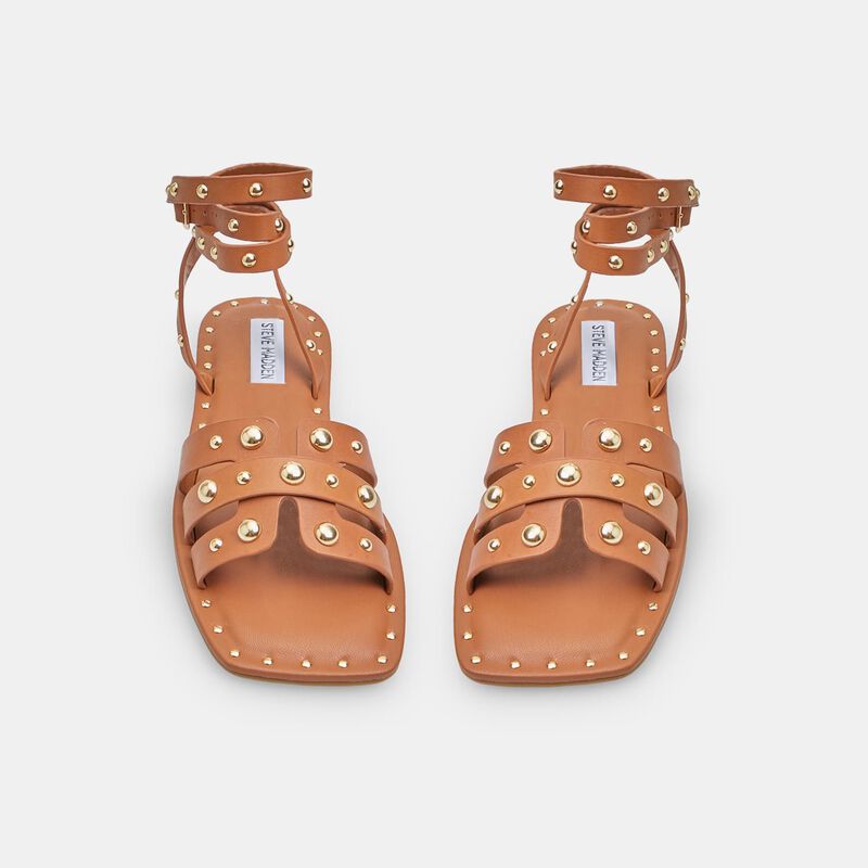 Steve Madden Trustee Damsandal