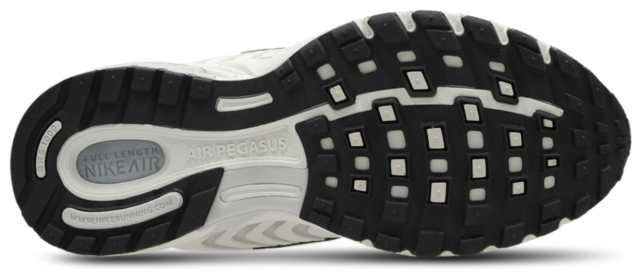 Nike Pegasus 2005