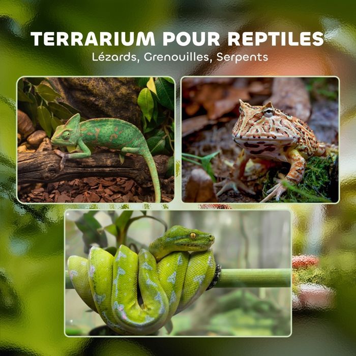 Terrarium en verre pour reptiles - PawHut - vivarium 12 L avec couvercle en treillis métallique - 20 x 20 x 30 cm - noir
