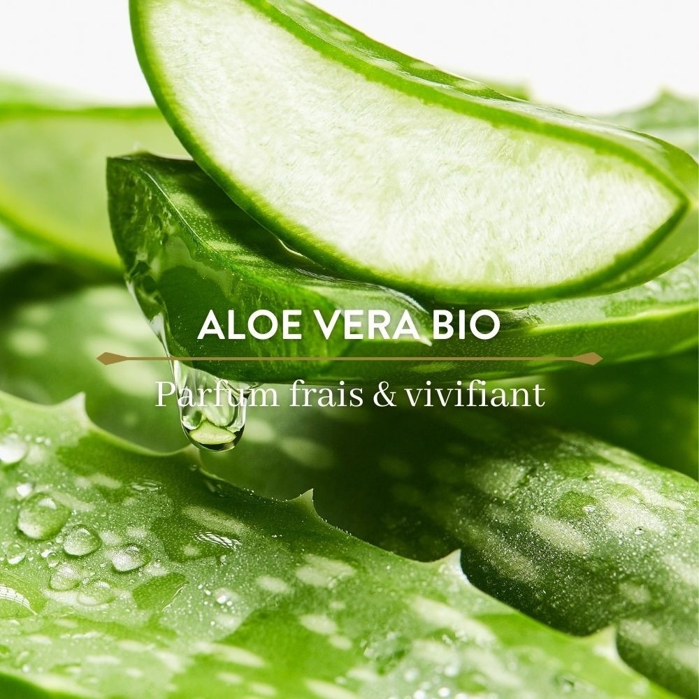 Le Petit Olivier Pur Savon Liquide de Marseille Purifiant & Antibactérien Aloe Vera & Thé Vert