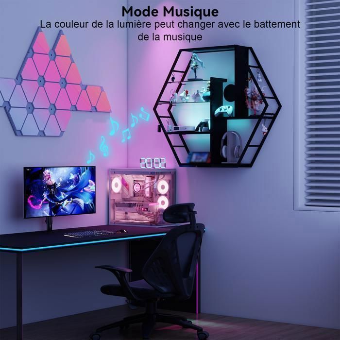 Étagère Murale avec Éclairage LED RVB, 5 Niveaux de Rangement, Étagère Flottante en Métal et Verre, Noir