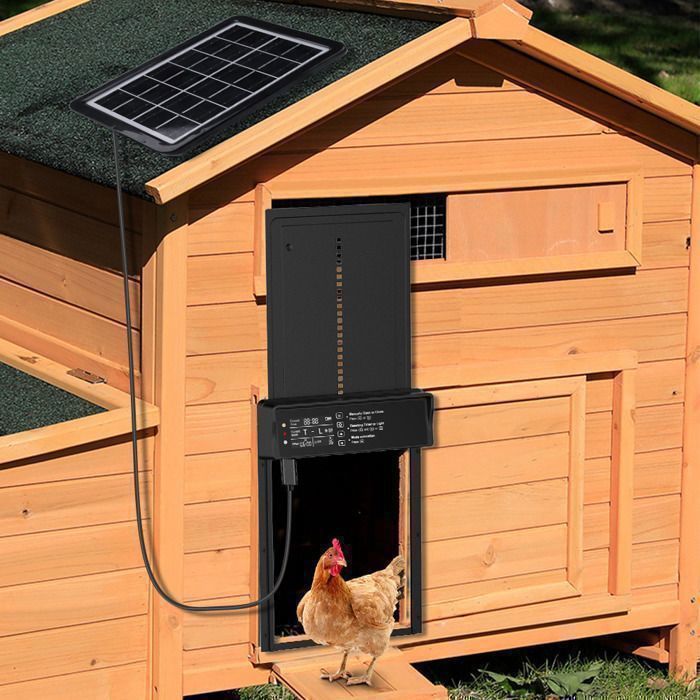 Puerta automática para gallinero con energía solar - Resistente al agua IPX6 - Temporizador de apertura - Control remoto inalámbrico - 328 x 244 mm