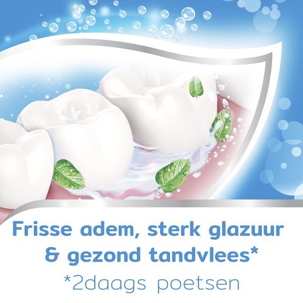 „Aquafresh Freshmint“ 3 viename dantų pasta, 75 ml