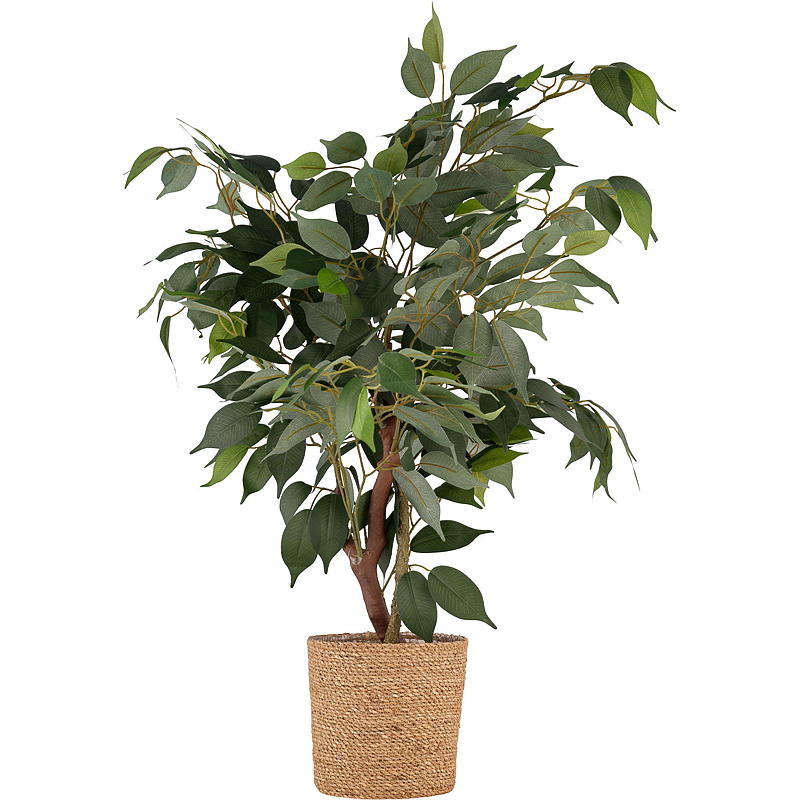 Hem Ficusväxt 76 cm konstgjord