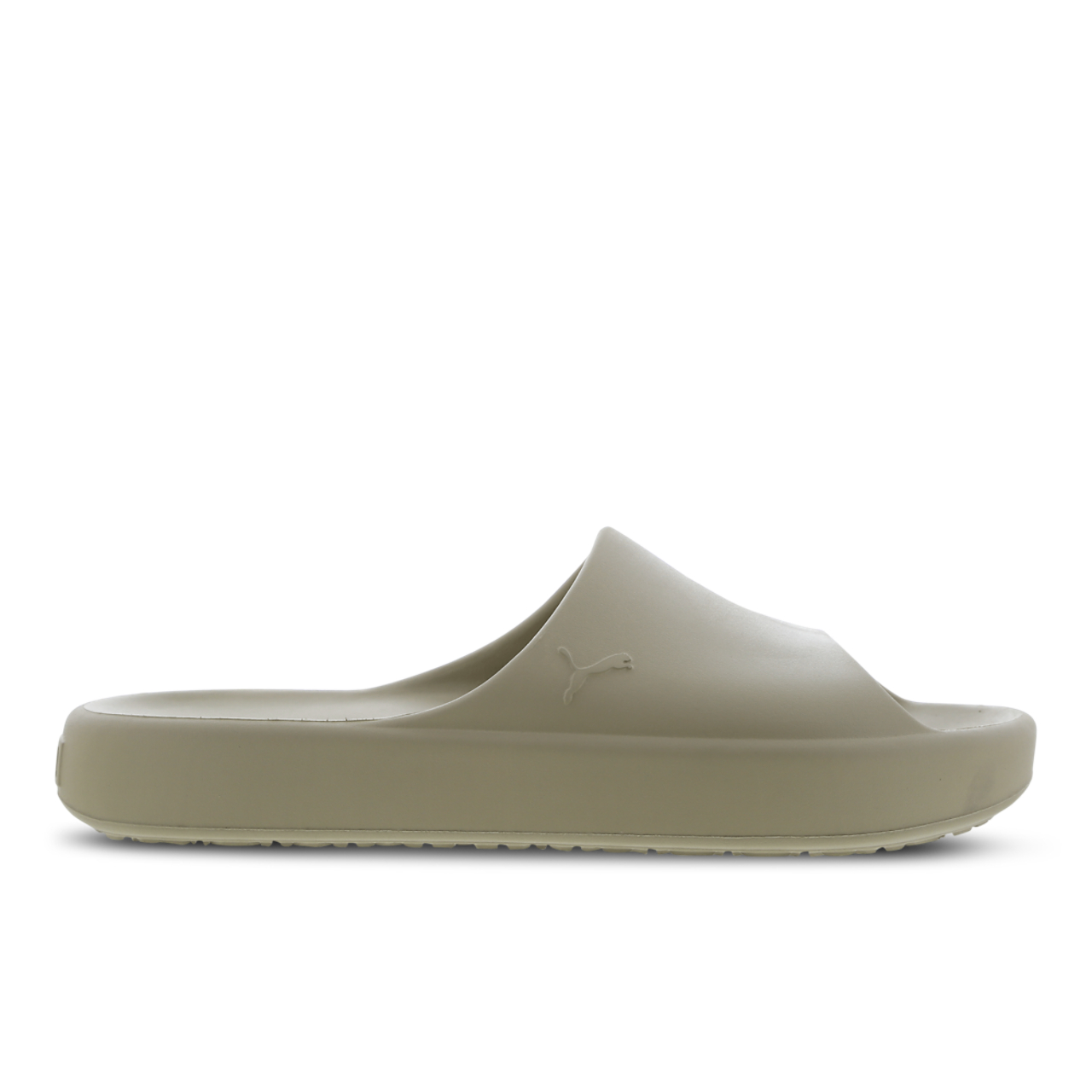 Puma Shibui Cat