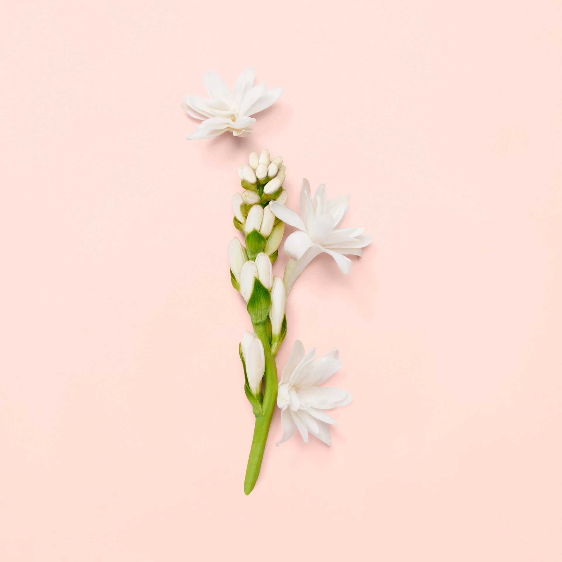 Gucci Bloom EdP 30 ml - Gucci